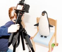 im Studio mit Pinguin